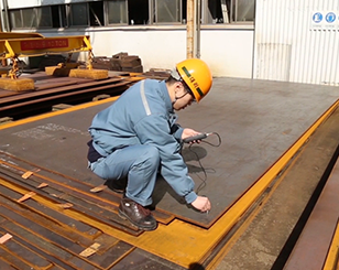 Warehousing Material Inspection